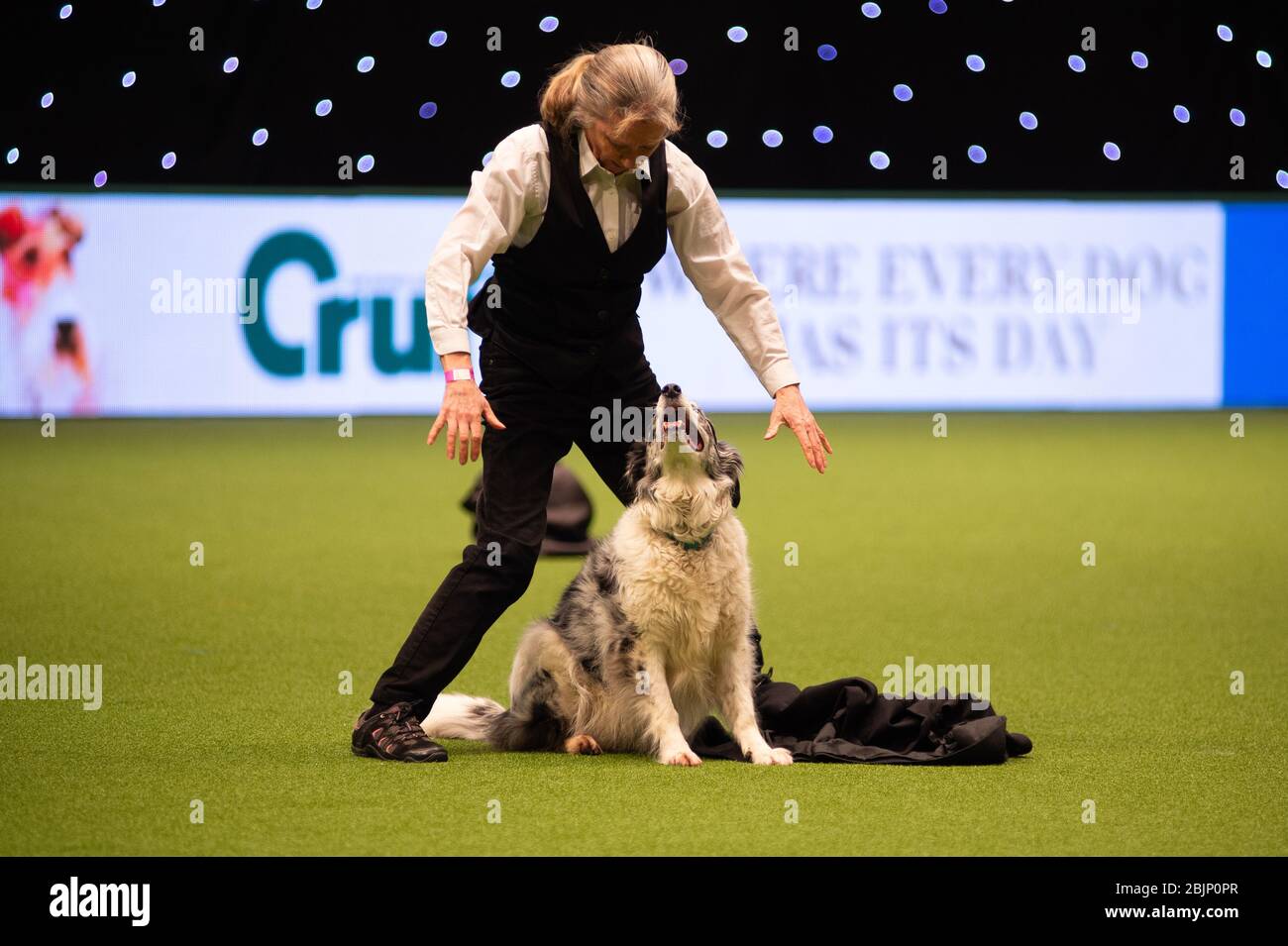 CRUFTS: Heelwork to Music Competition on the 5th March 2020 Stock Photo