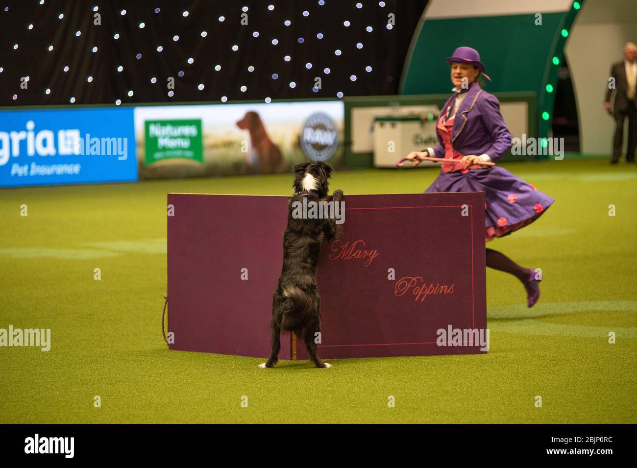 CRUFTS: Heelwork to Music Competition on the 5th March 2020 Stock Photo