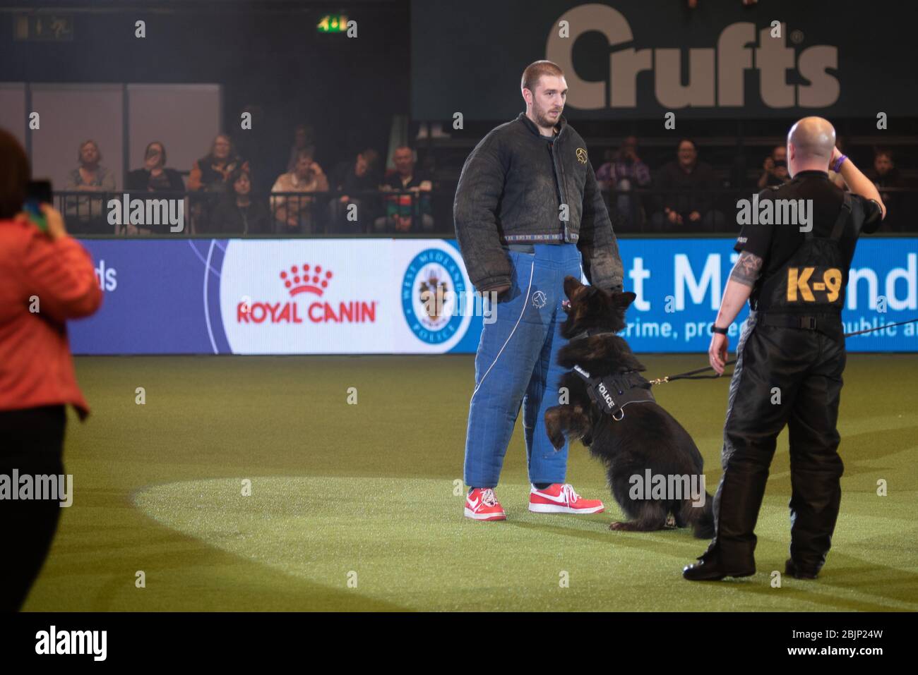 CRUFTS: LadBaby joins the West Midlands Police Dogs display on the 5th March 2020 Stock Photo