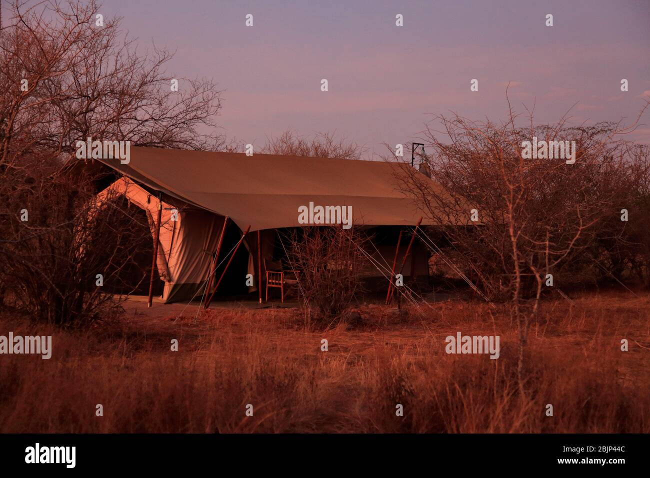 Safari tent at dawn in the African bush Stock Photo