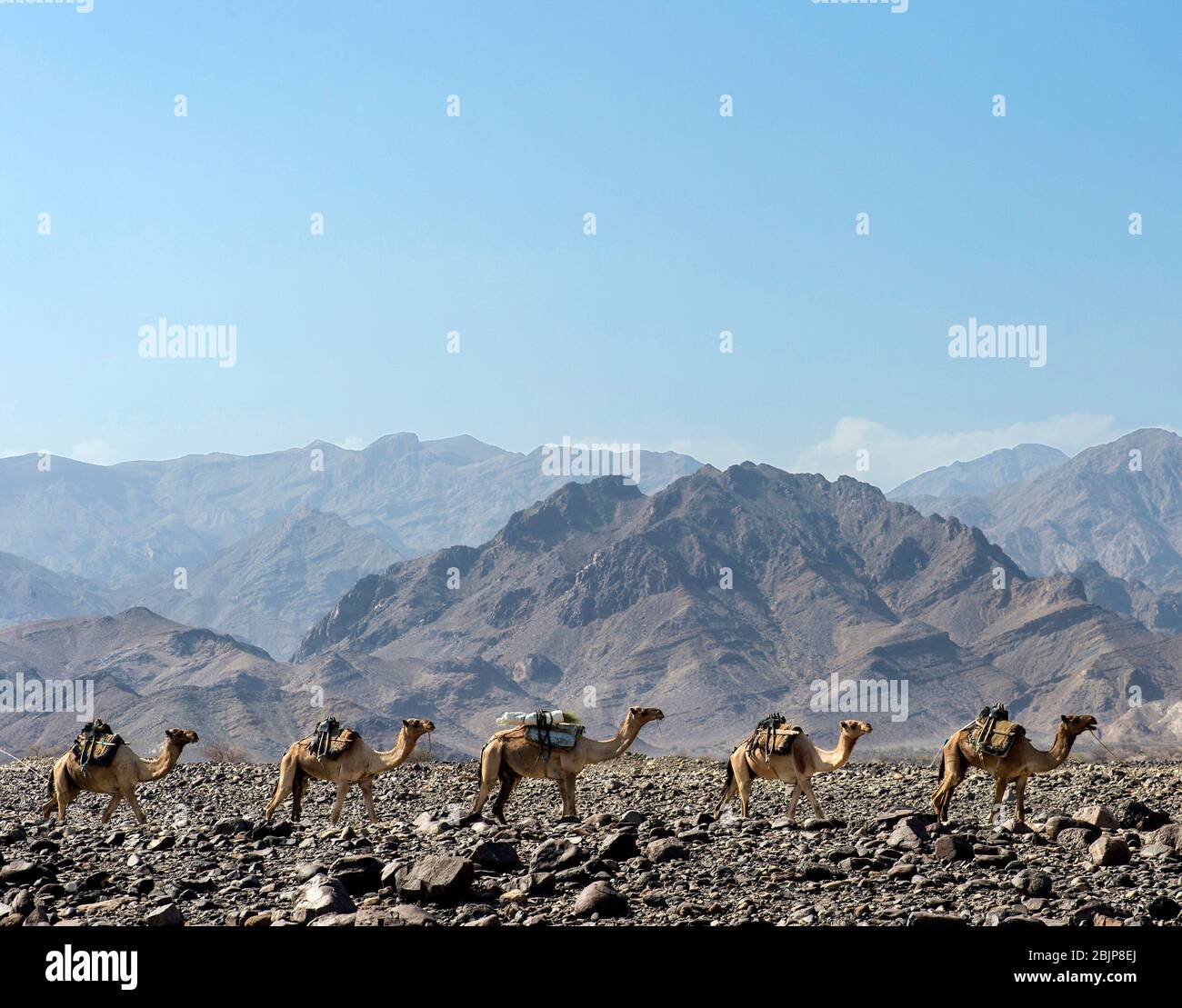 My Image 9