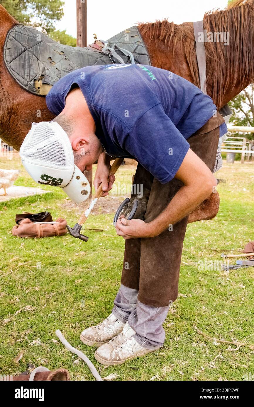 Soweto, South Africa April 16, 2012 Farrier performing maintenance