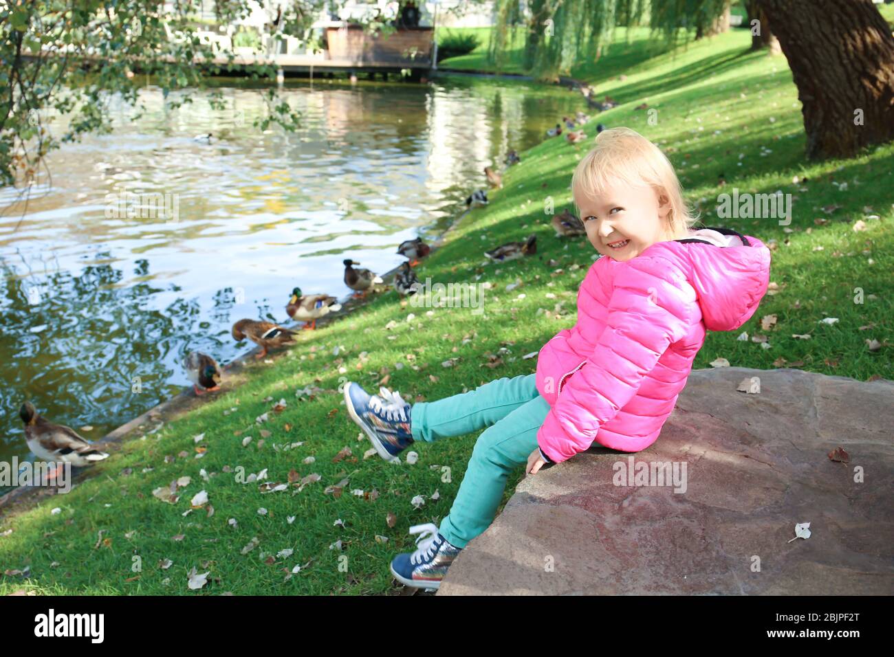 Cute little girl looking at ducks in petting zoo Stock Photo Alamy