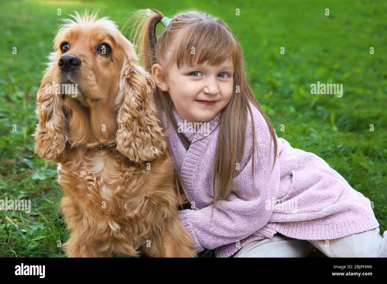Cute little girl with funny dog on green grass Stock Photo - Alamy