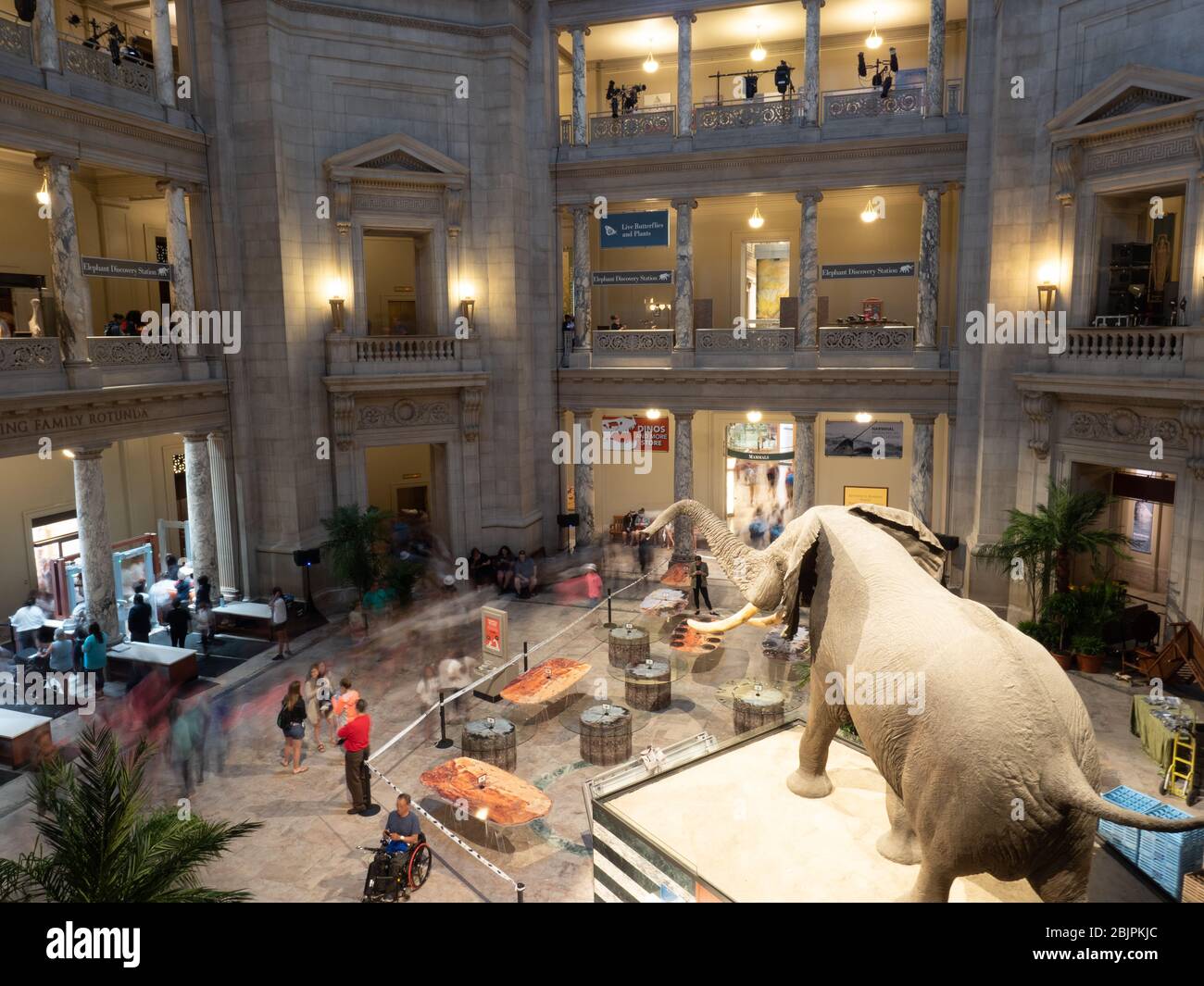 NATIONAL MUSEUM OF NATURAL HISTORY OPEN visual data 8