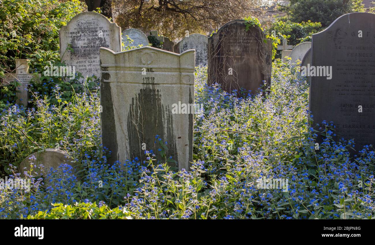 Brompton Cemetery, Kensington, London; one of the 'Magnificent Seven