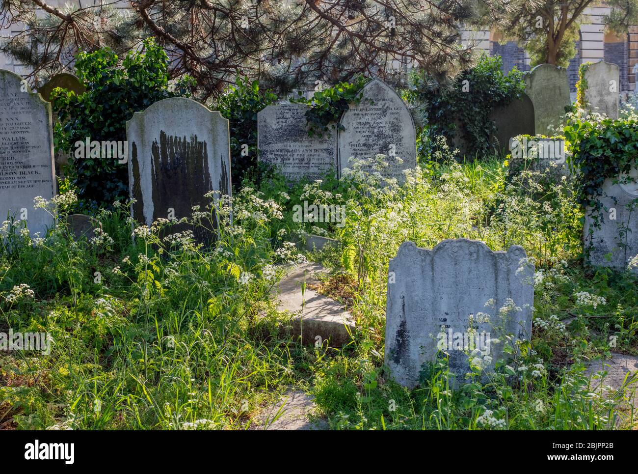 Brompton Cemetery, Kensington, London; one of the 'Magnificent Seven