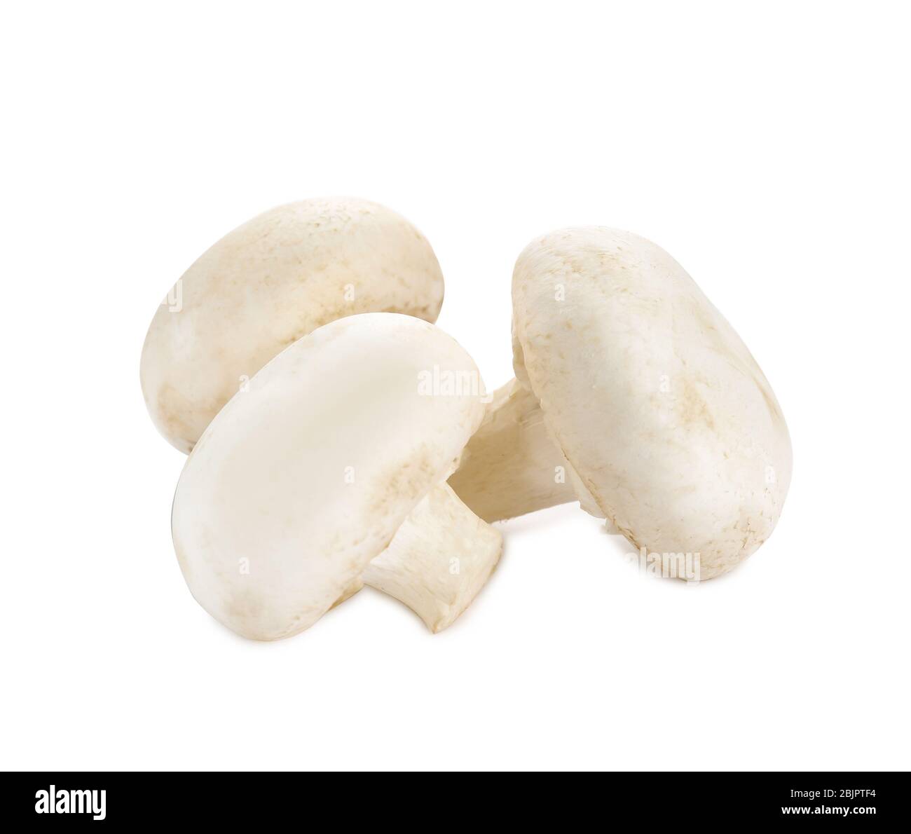 Raw mushrooms on white background Stock Photo
