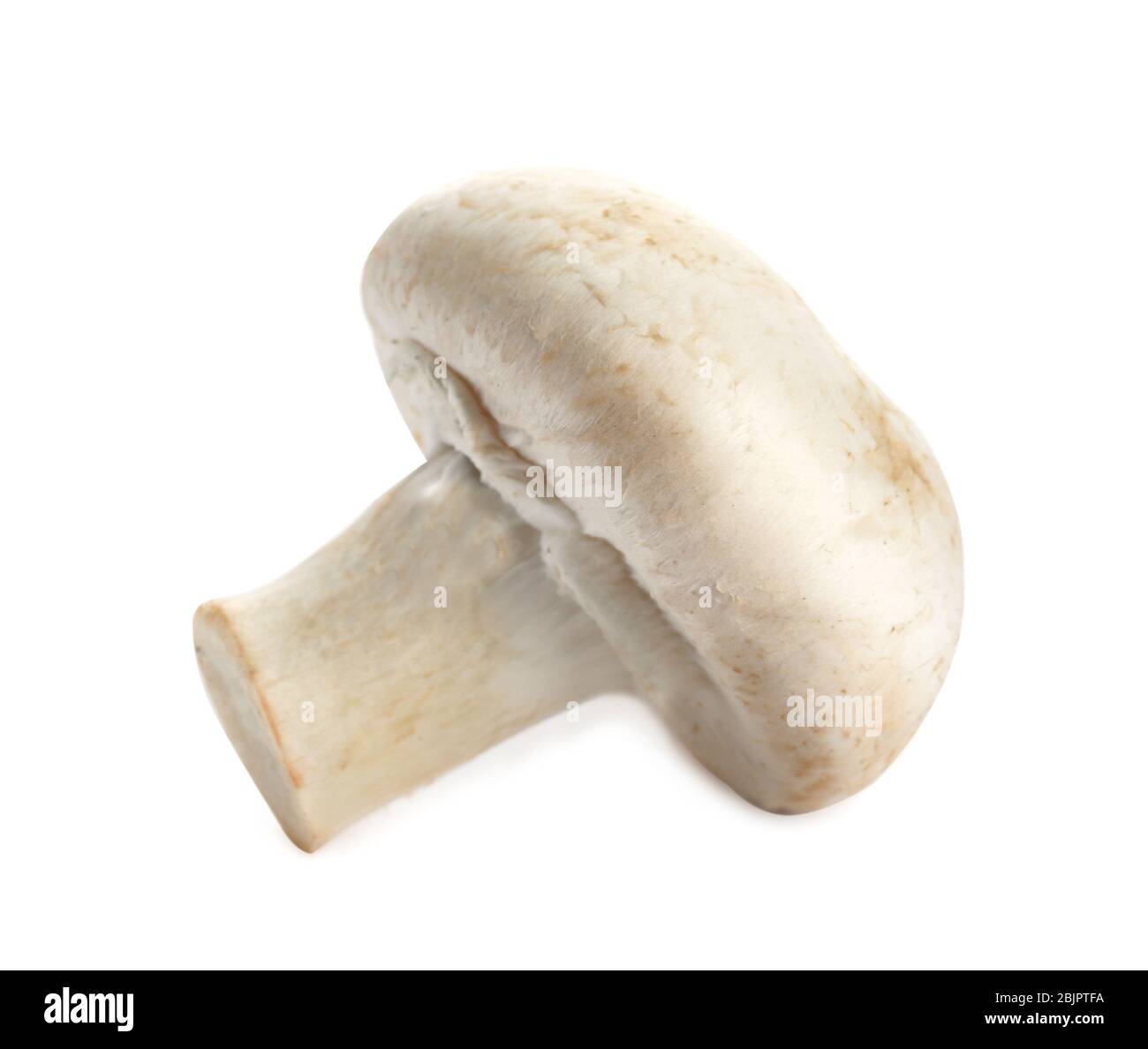 Raw mushroom on white background Stock Photo