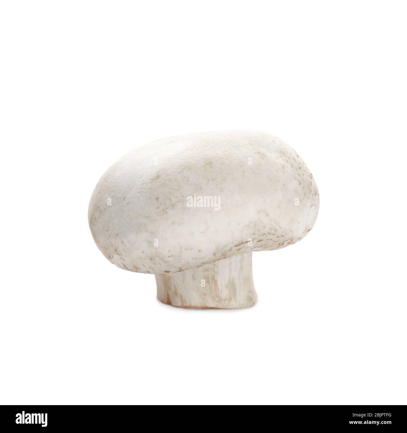 Raw mushroom on white background Stock Photo