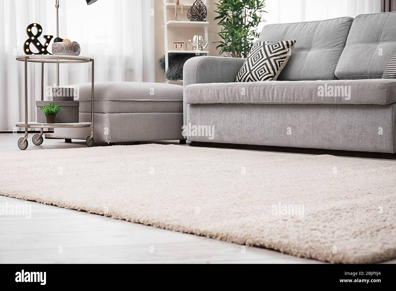 Modern living room interior with cozy sofa and soft carpet Stock Photo ...