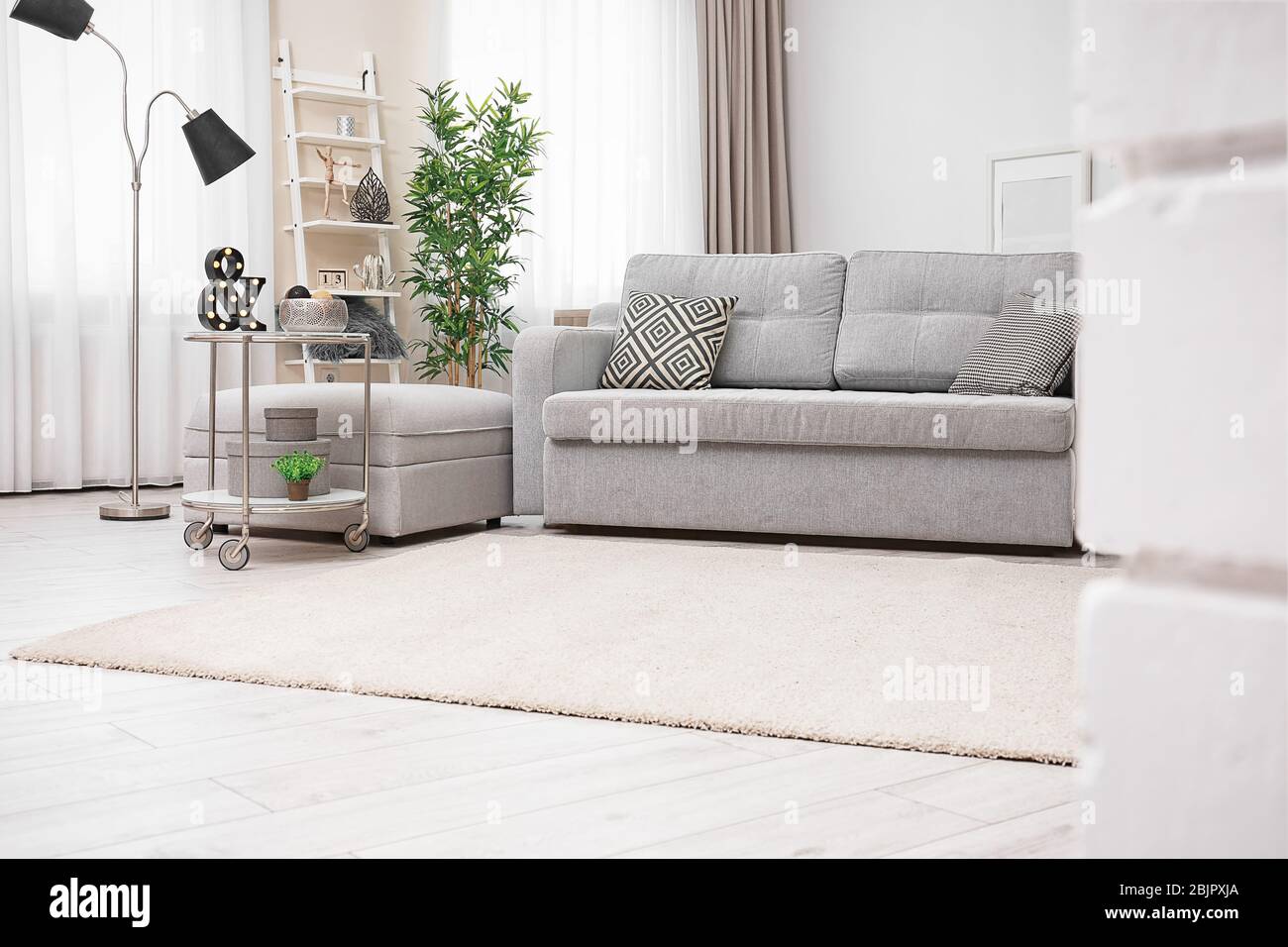 Modern living room interior with cozy sofa and soft carpet Stock Photo ...