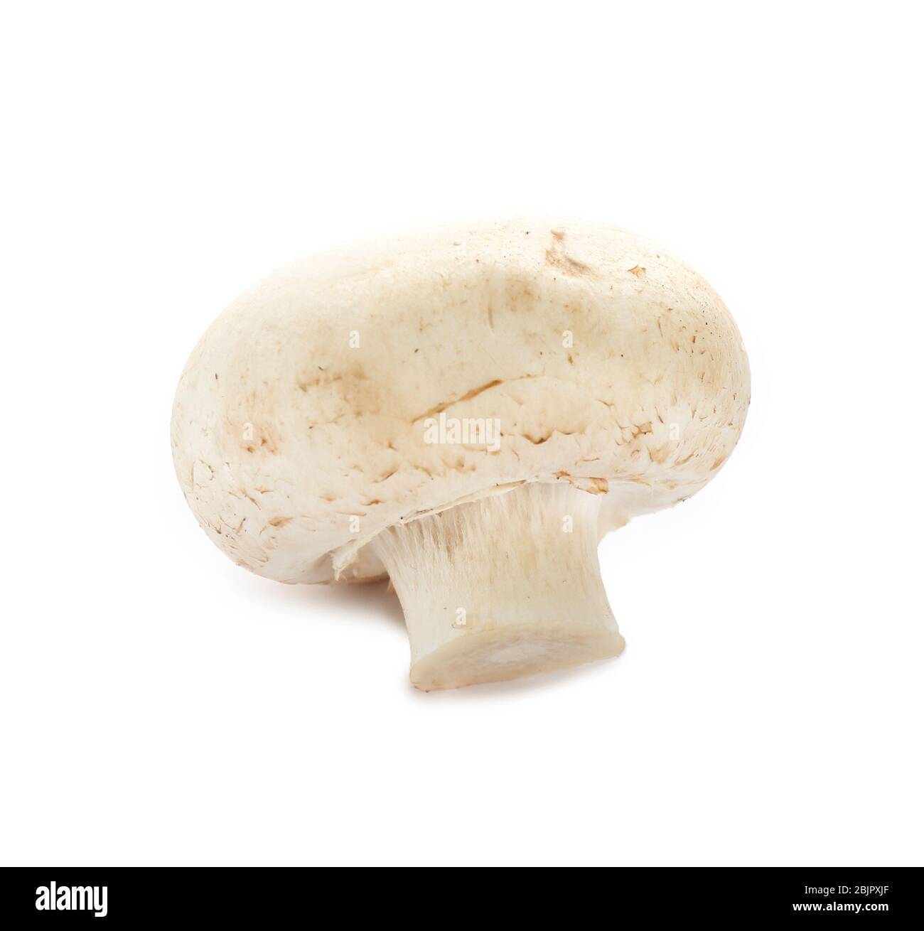 Fresh champignon mushroom on white background Stock Photo