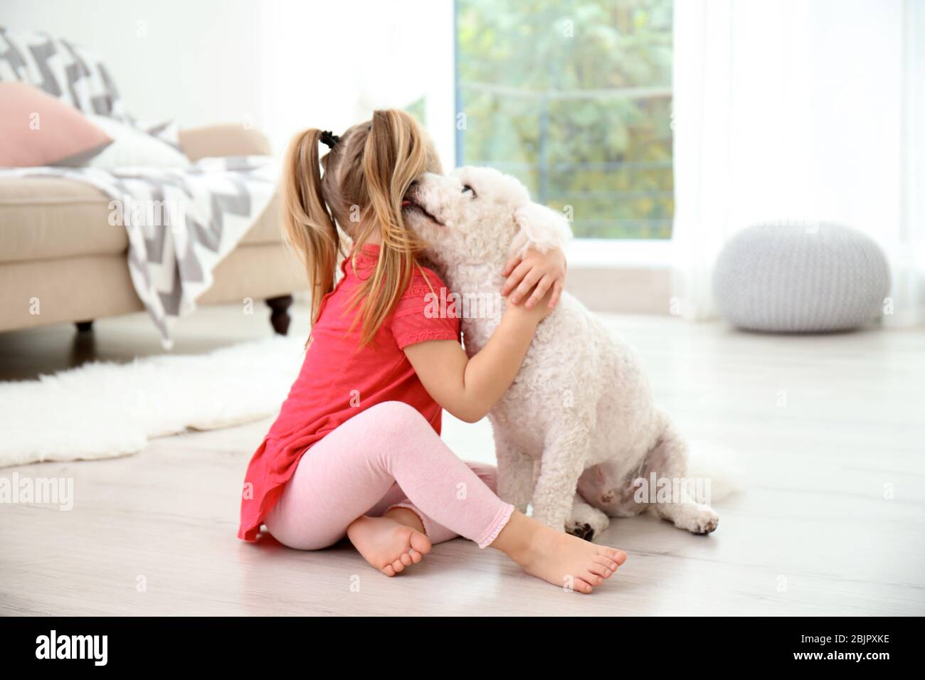 Adorable little girl with her dog at home Stock Photo - Alamy
