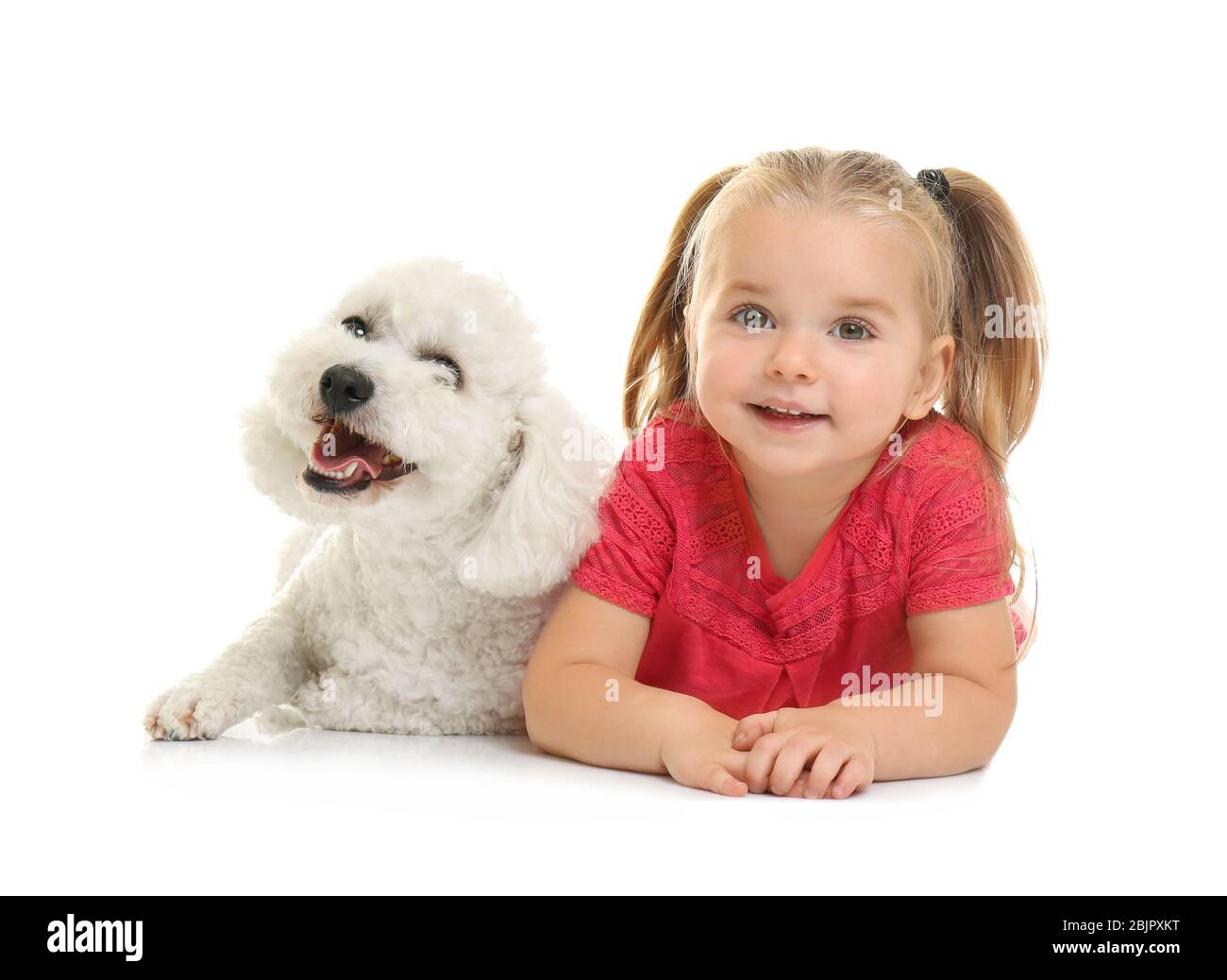 Adorable little girl with her dog on white background Stock Photo - Alamy