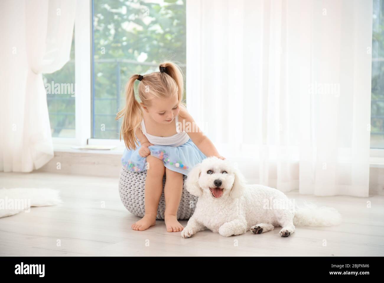 Adorable little girl with her dog at home Stock Photo - Alamy