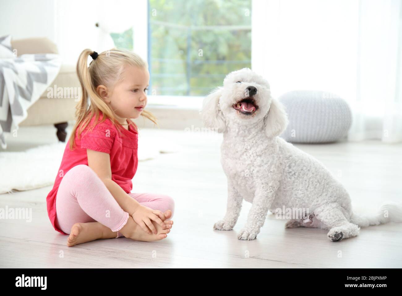 Adorable little girl with her dog at home Stock Photo - Alamy