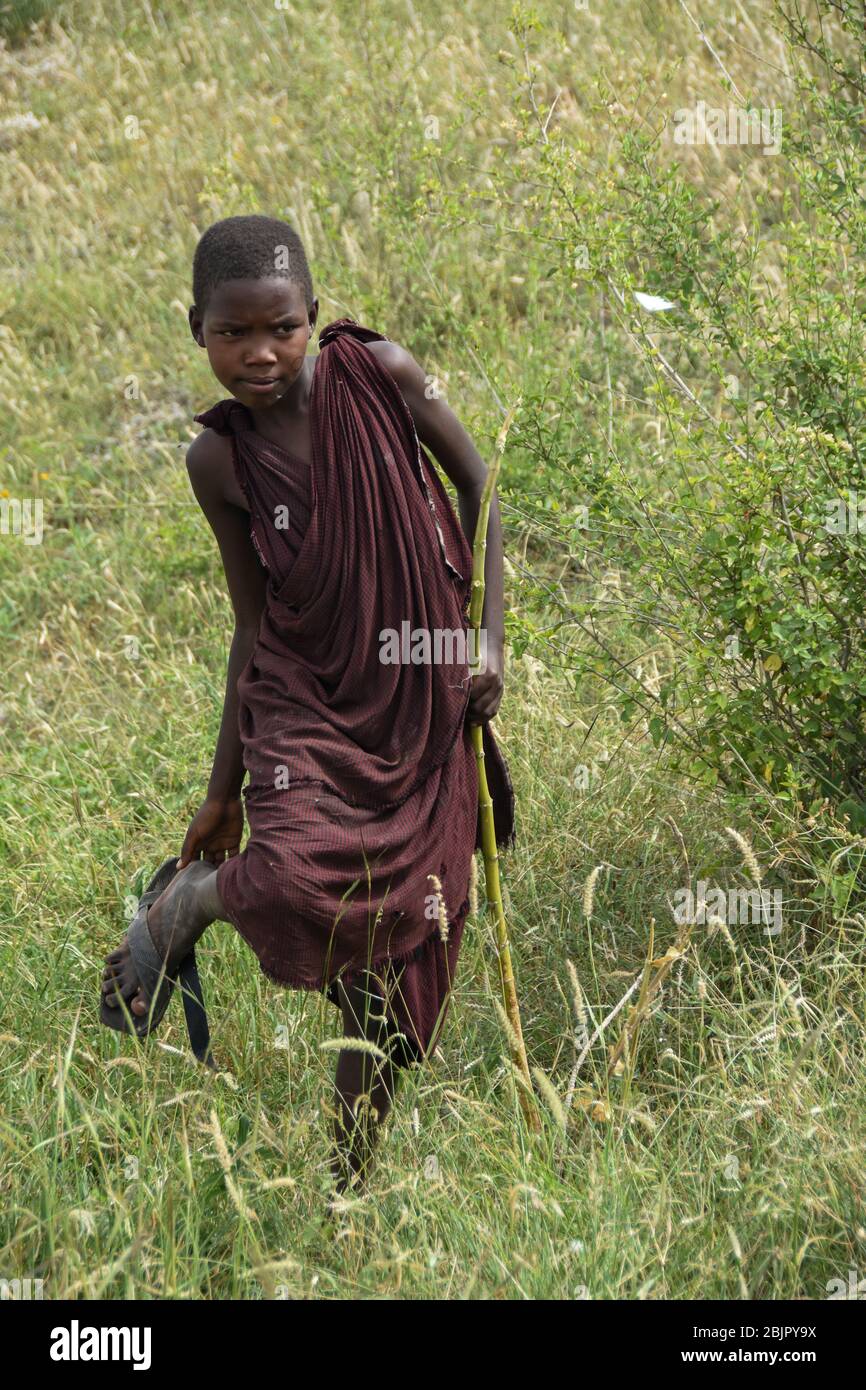 Young Maasai female teen Maasai is an ethnic group of semi-nomadic people Photographed in Tanzania Stock Photo