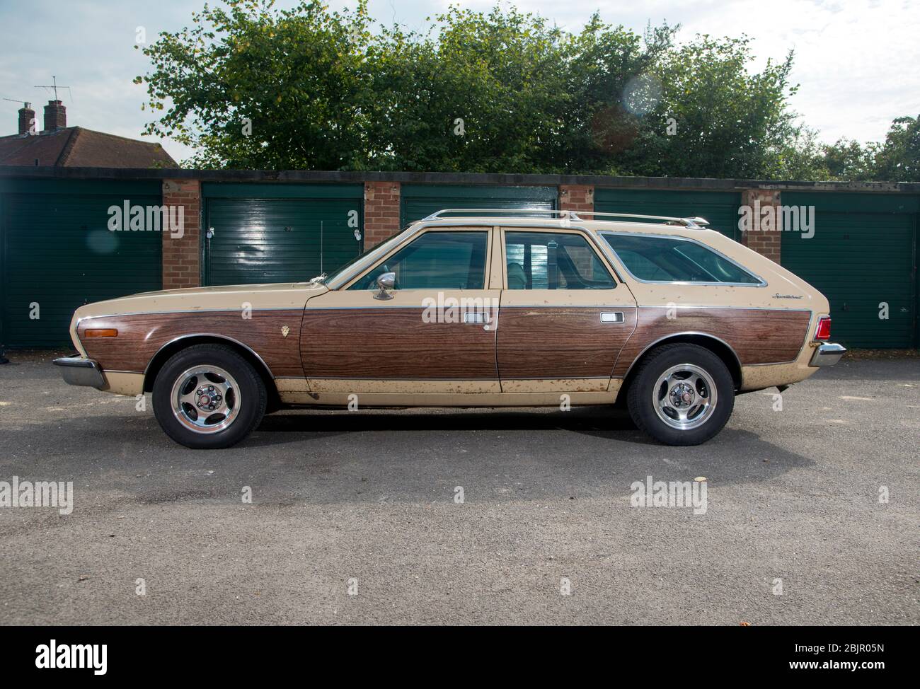 1973 AMC Hornet 'Gucci' special edition classic American station wagon car  Stock Photo - Alamy