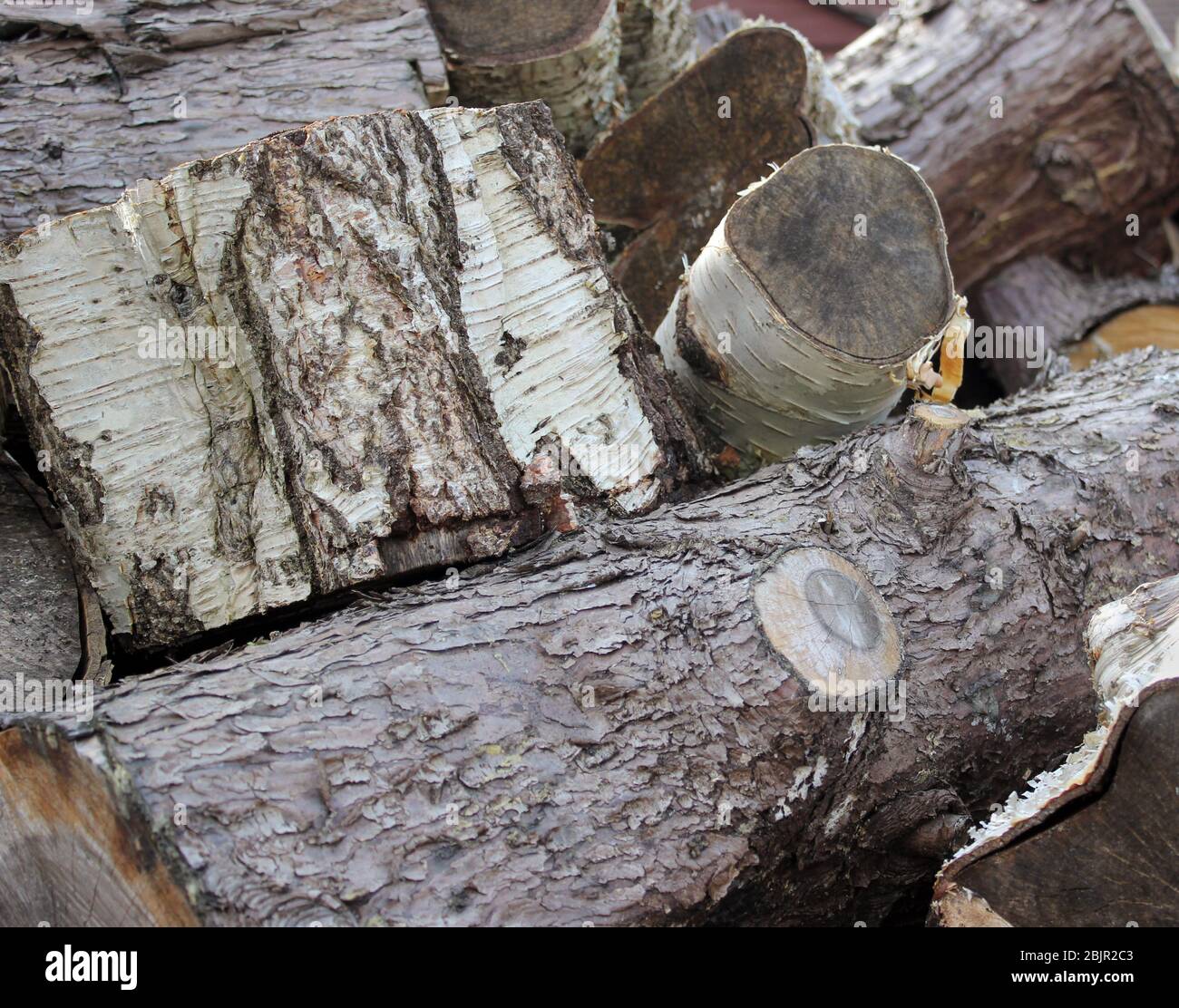 Log pile in springtime ready for winter weather Stock Photo