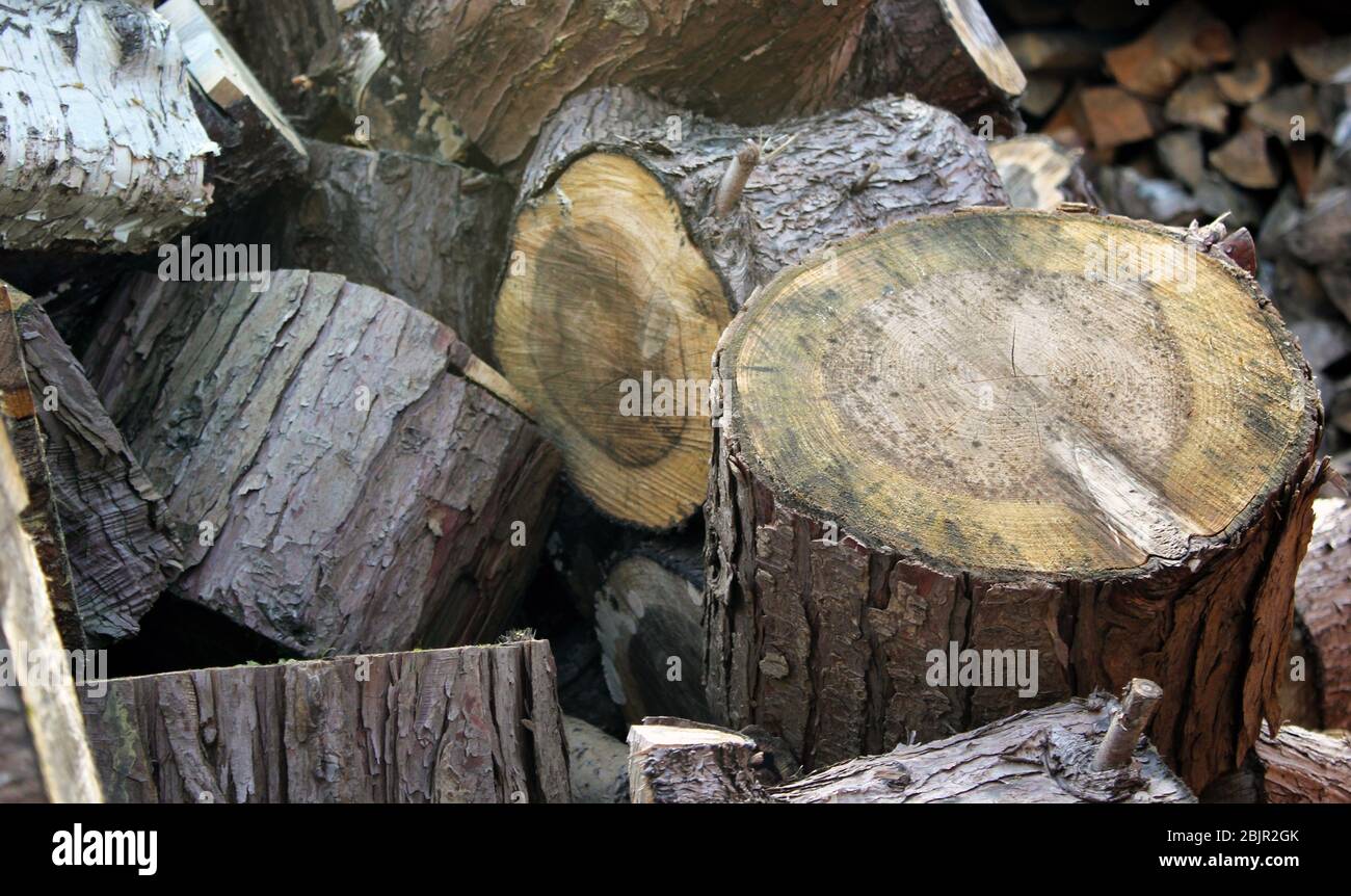 Log pile in springtime ready for winter weather Stock Photo