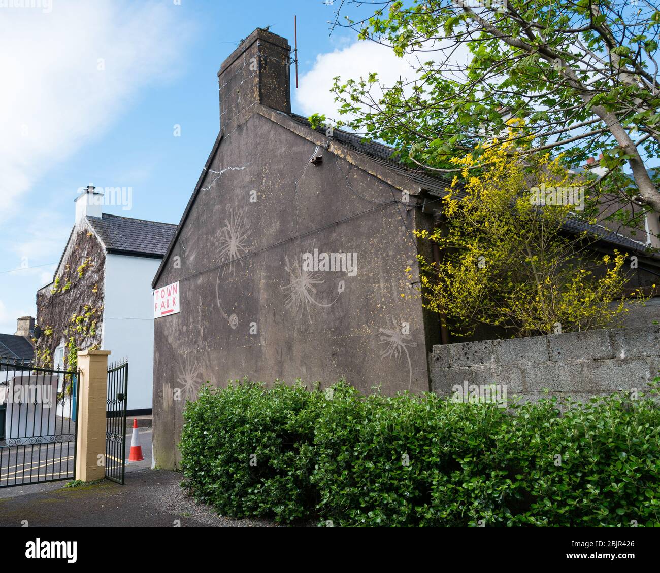 Gray stucco building on an alley leading to the town park with a black metal gate and green shrubs, Dingle, County Kerry, Ireland Stock Photo