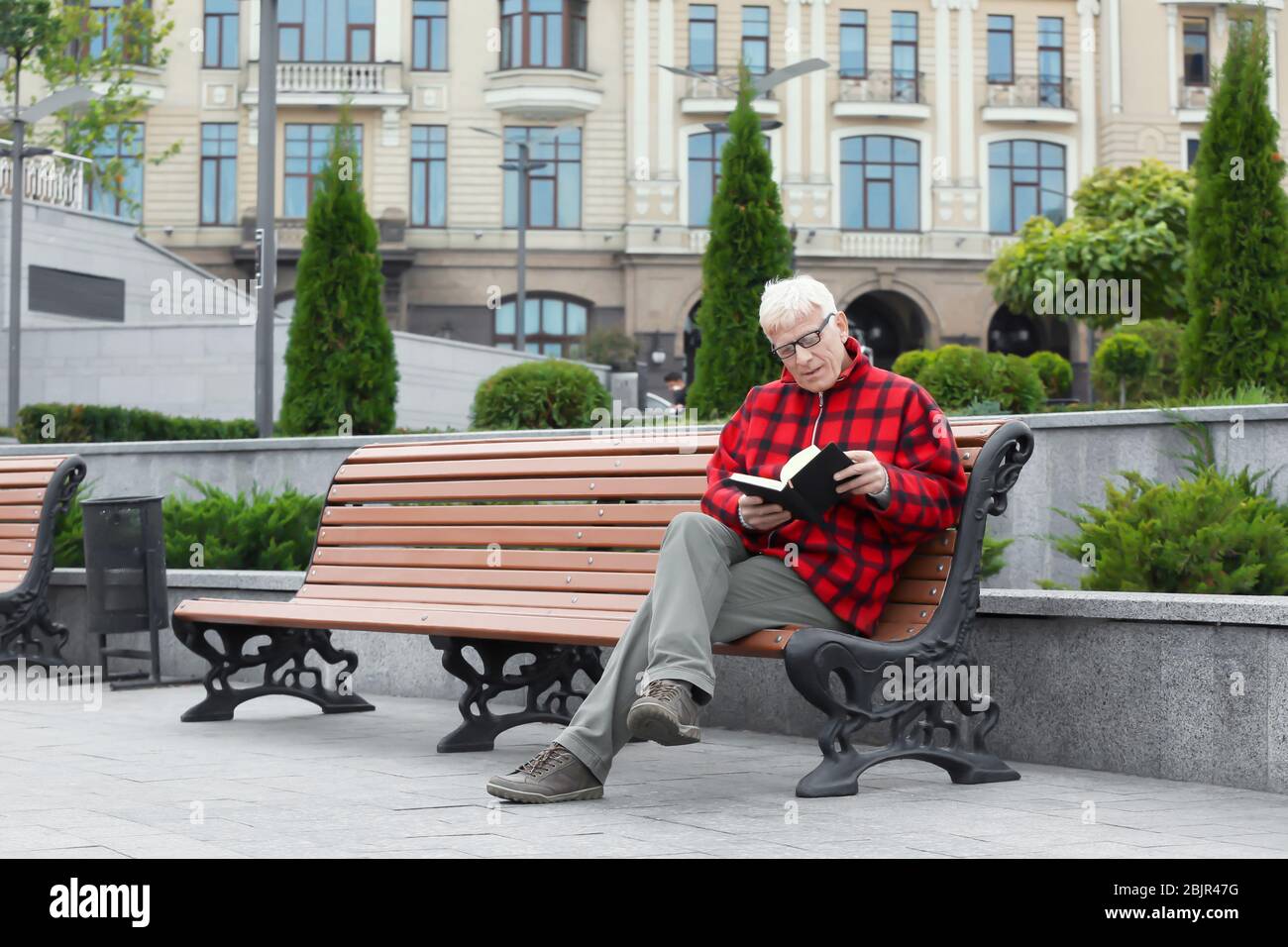 Handsome mature man reading book on bench outdoors Stock Photo - Alamy