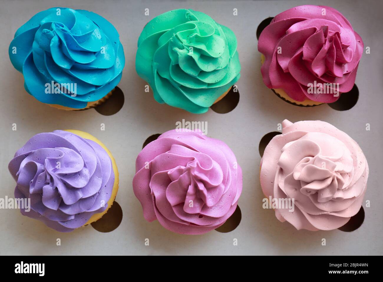 Tasty colorful cupcakes in cardboard box Stock Photo