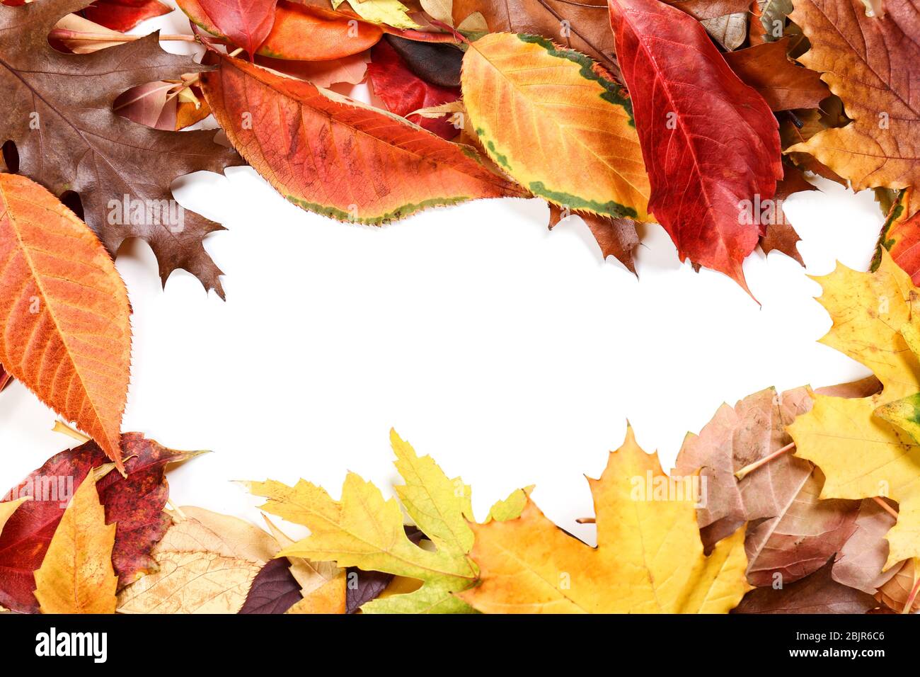 Beautiful frame made of autumn leaves on white background Stock Photo ...