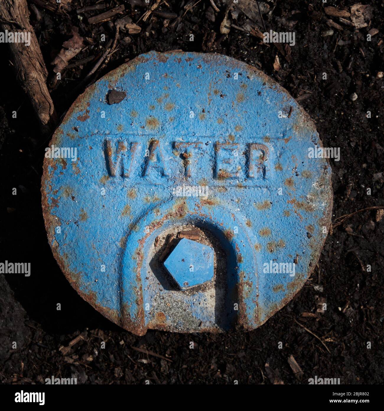 Color photograph of blue Round cover of municipal water supply to residential or commercial establishment, covering below ground shut off valve. Stock Photo