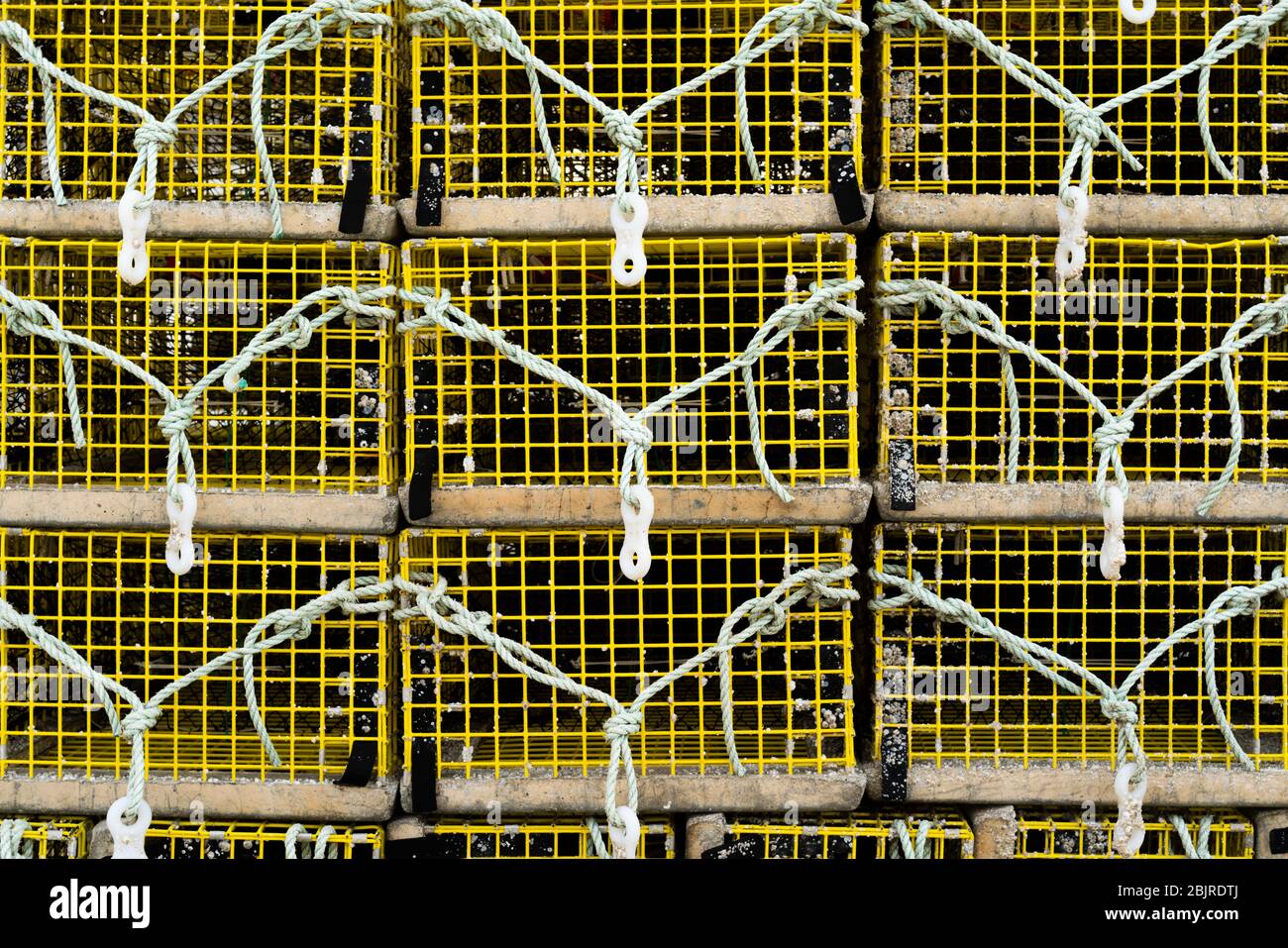 Yellow lobster traps in Martha's Vineyard, Massachusetts Stock Photo