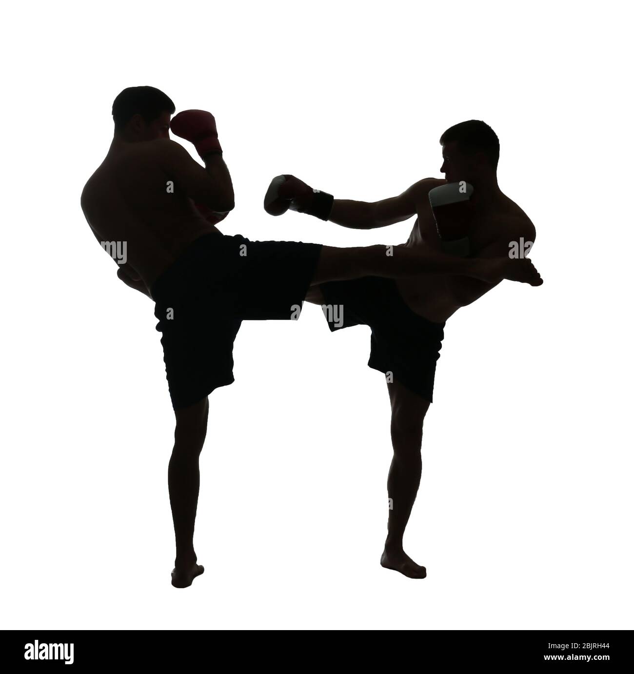 Silhouette of male boxers fighting on white background Stock Photo