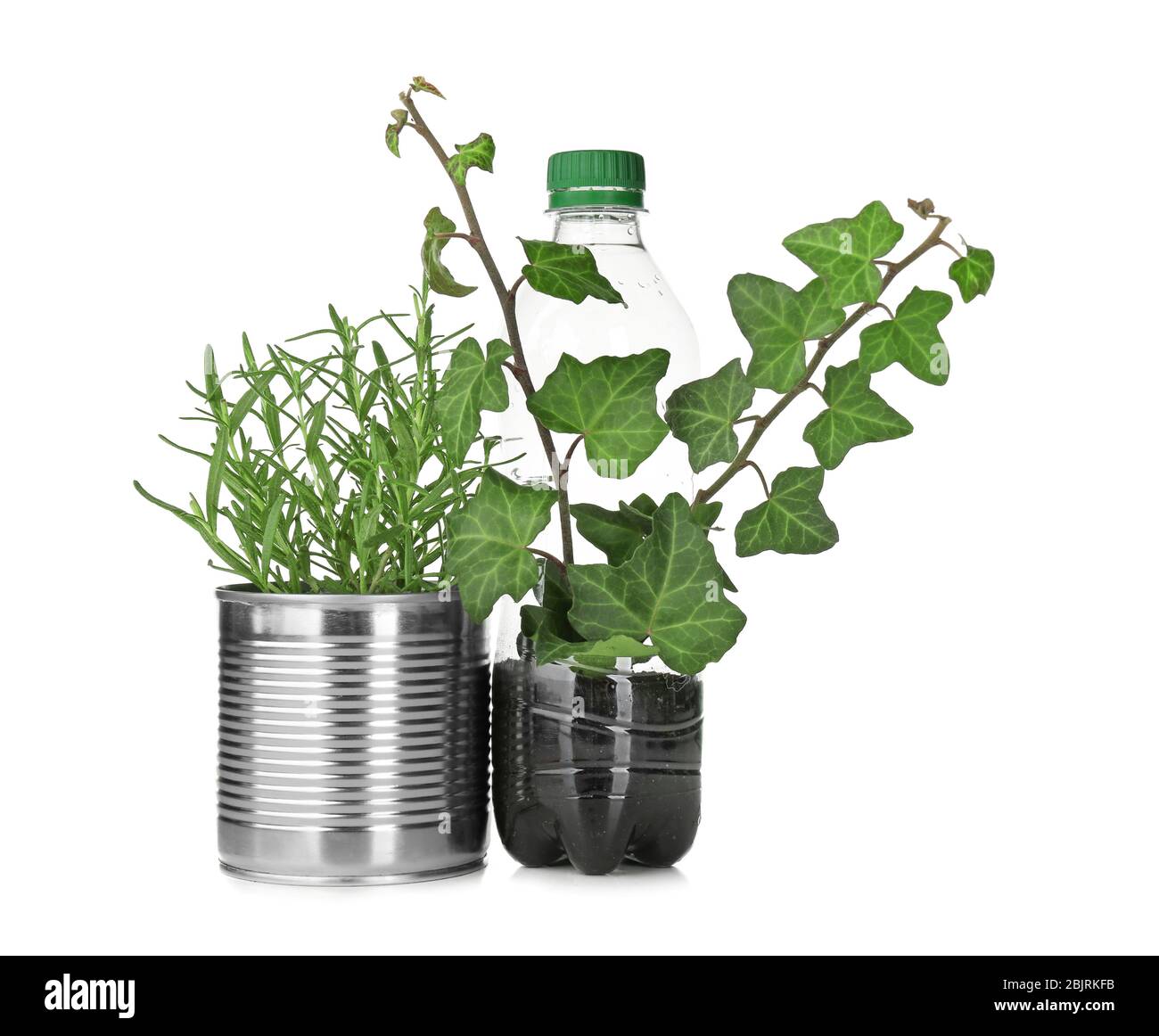 Plastic bottle and aluminum can used as containers for growing plants