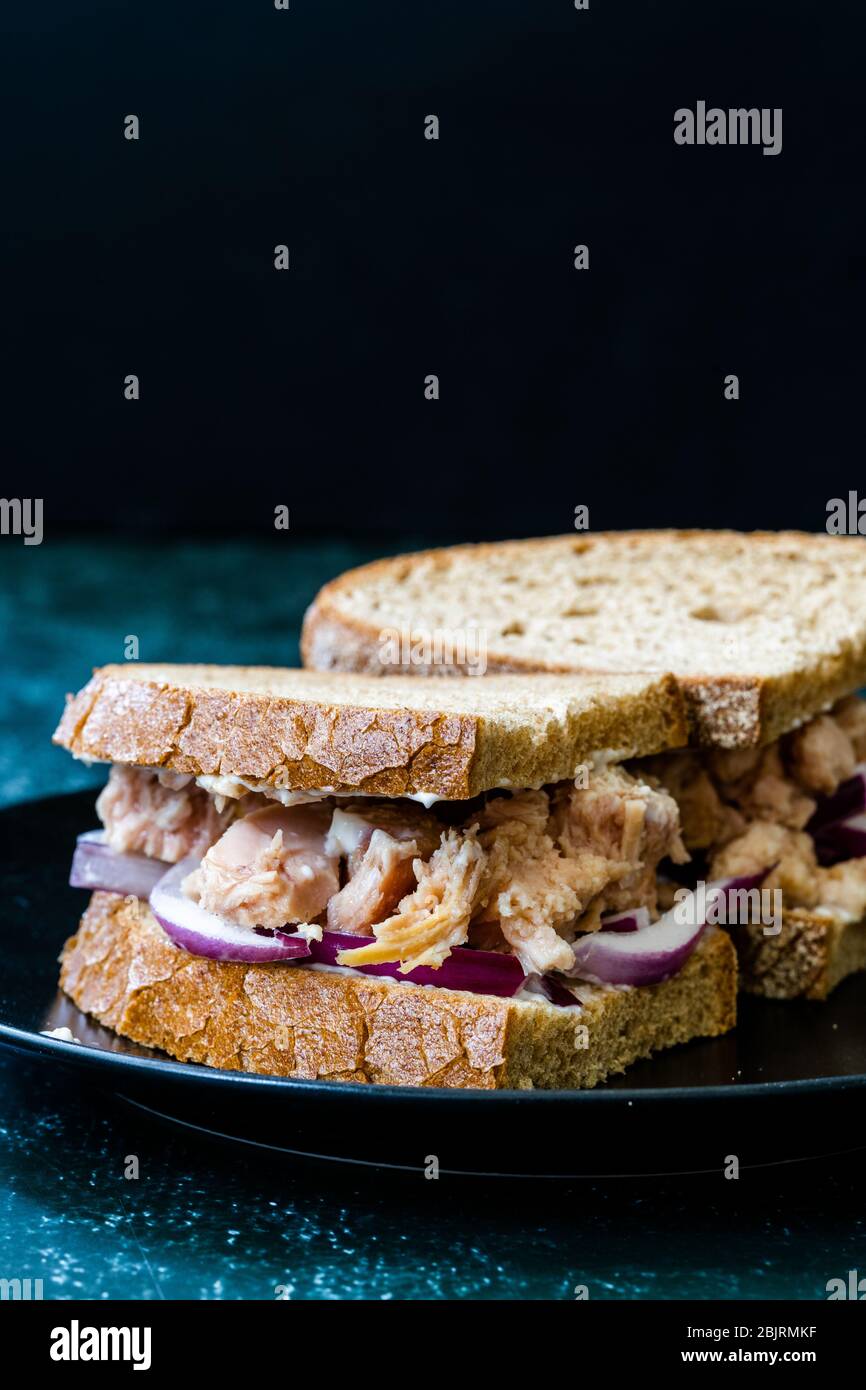 Tuna Fish Sandwich with Red Onions, Mayonnaise and Multigrain Light