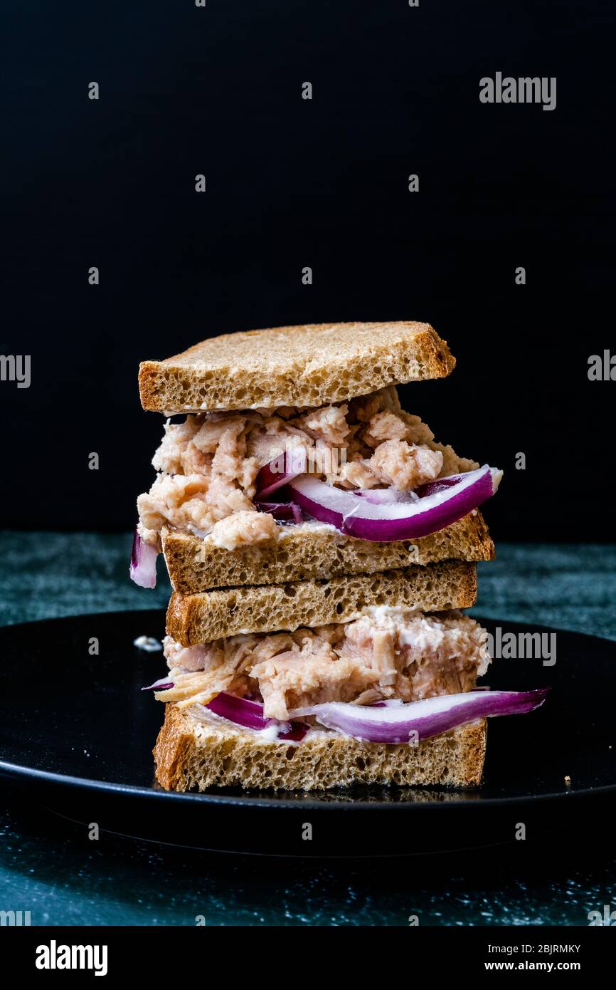 Tuna Fish Sandwich with Red Onions, Mayonnaise and Multigrain Light ...