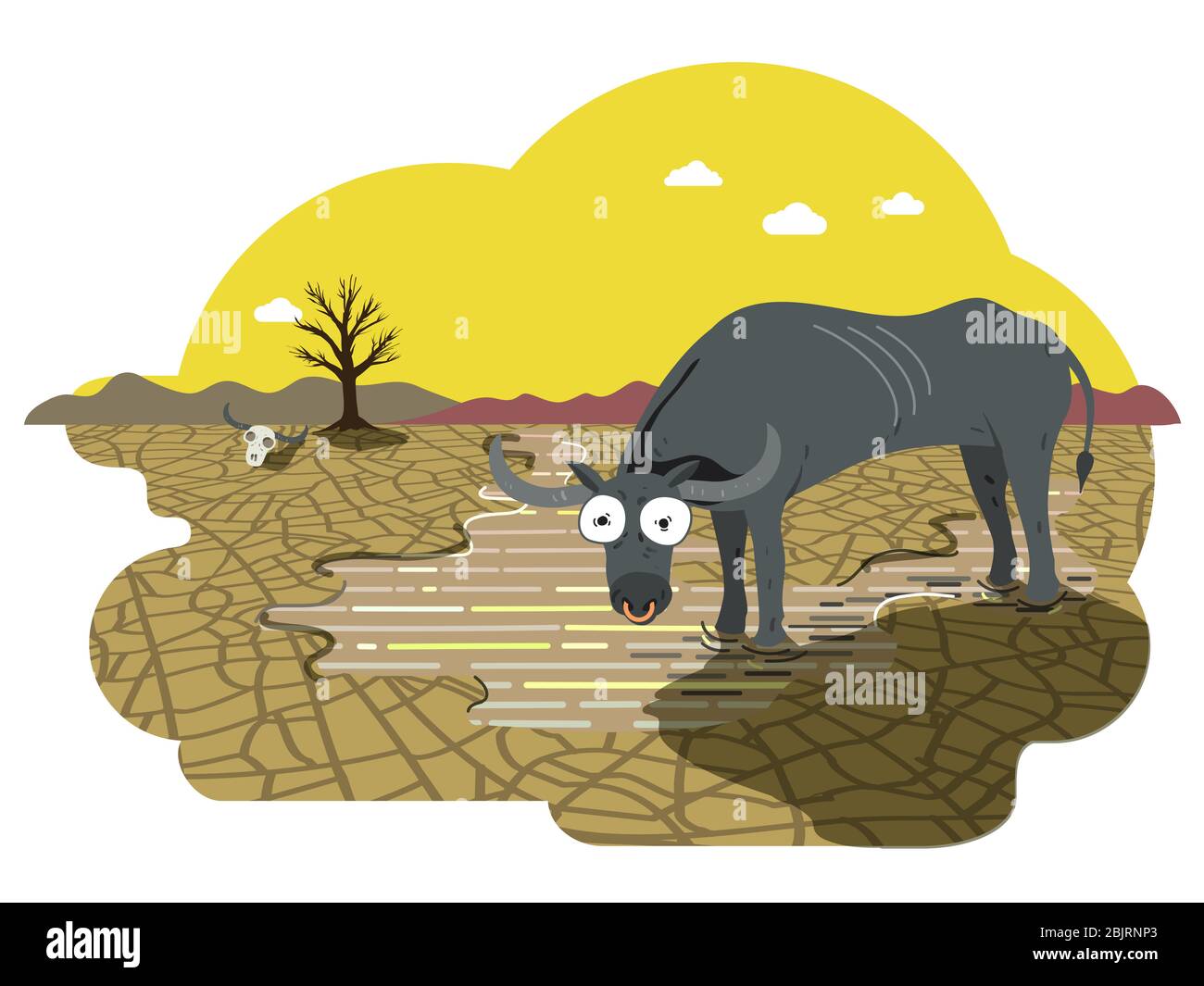 Skinny water buffalo drinking water in a puddle under hot sun, drought farmland with cracked surface of dried mud. Global warming concept illustration Stock Photo