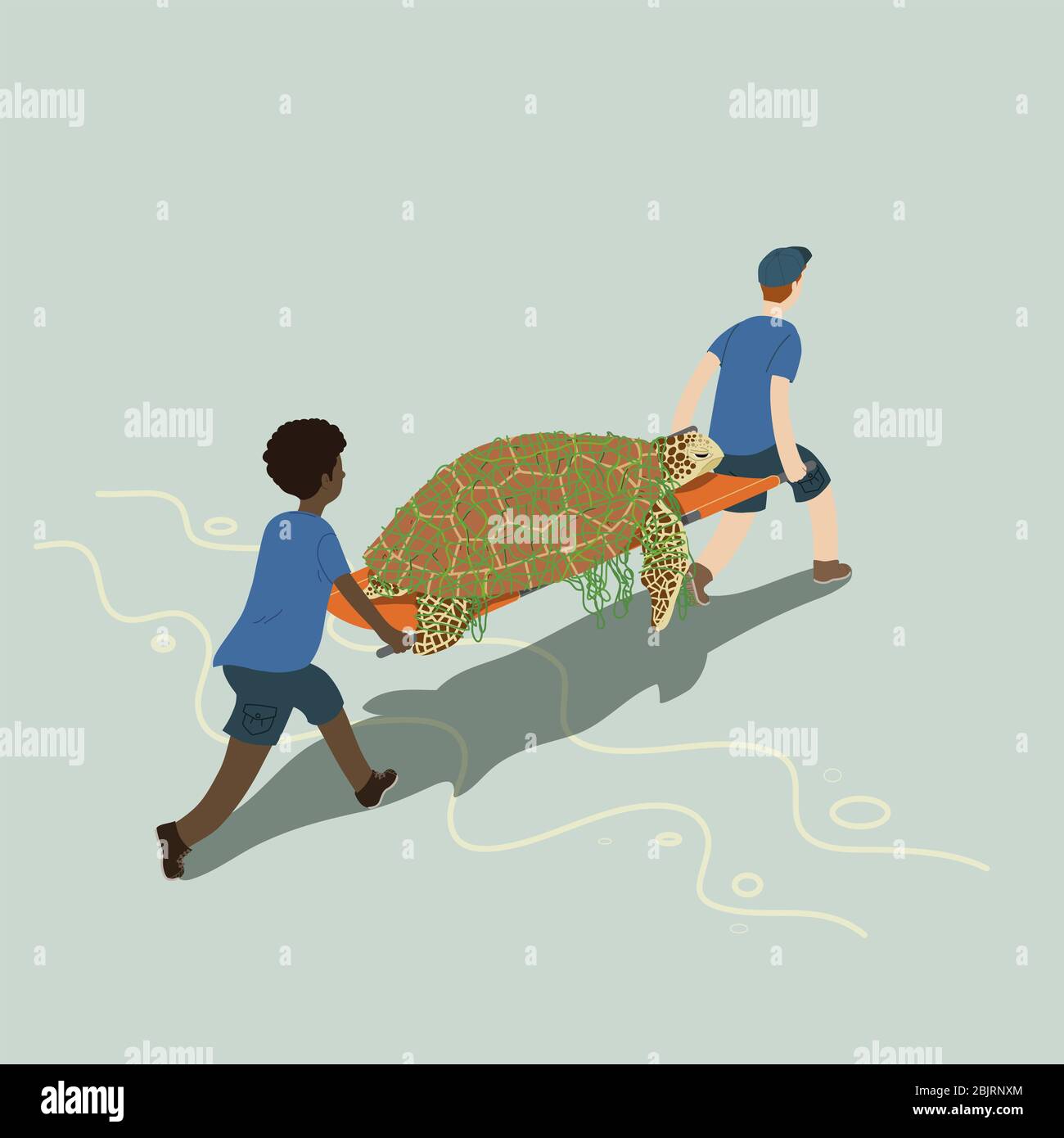 Animal rescue team saving sea turtle which is tangled in wasted fishing net. Save marine life concept. Flat color vector illustration. Stock Photo