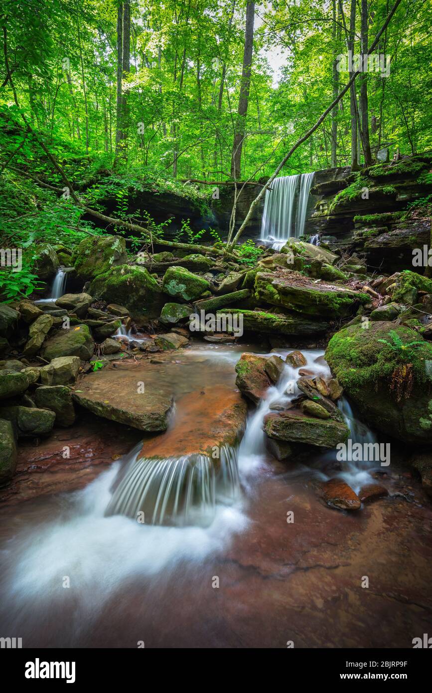 The falls of Big Branch in the New River Gorge of West Virginia flow gently down and around the rocks surrounded by lush greenery after heavy rains. Stock Photo