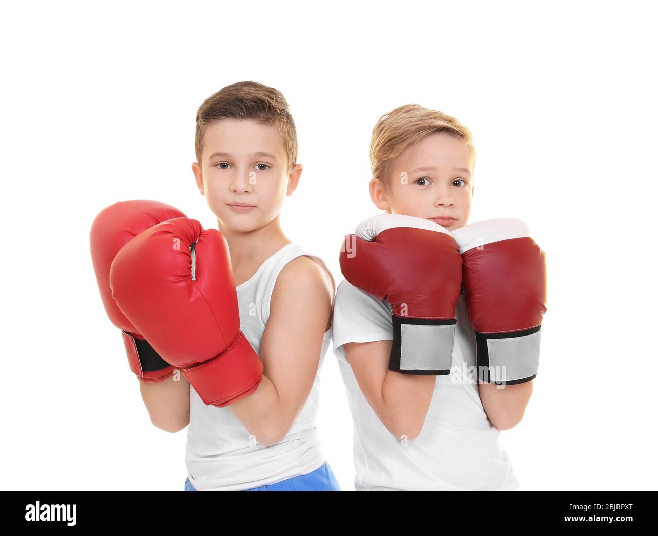 Cute little boys in boxing gloves on white background Stock Photo Alamy
