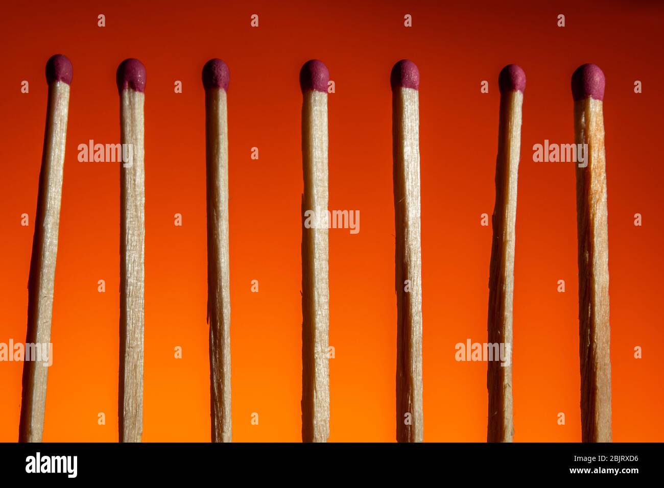 seven matches with a red head in a row on a Lush Lava background. close up copy space Stock Photo