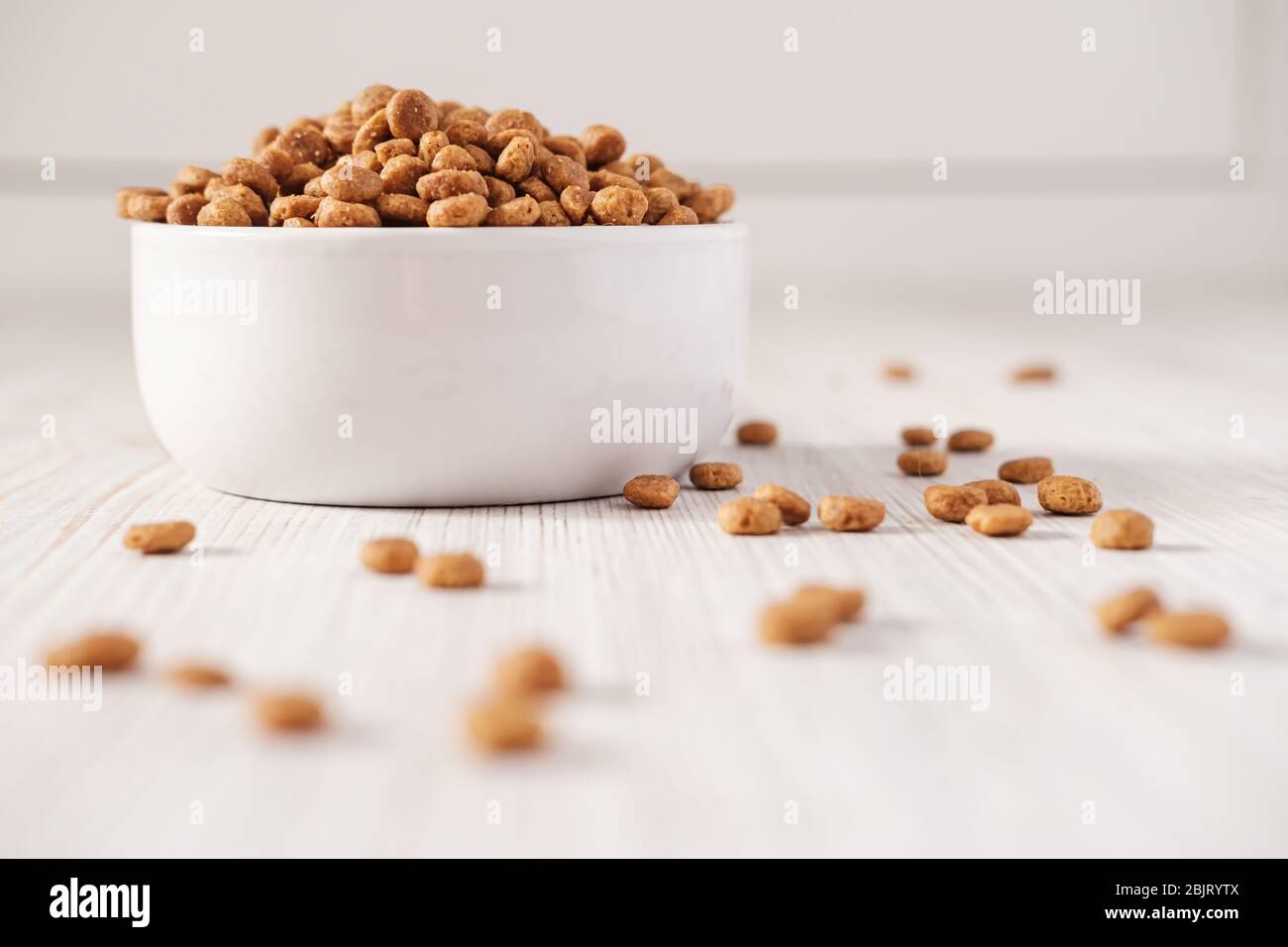 Dry pet food is in a white porcelain bowl and scattered on the floor. Close-up. Stock Photo