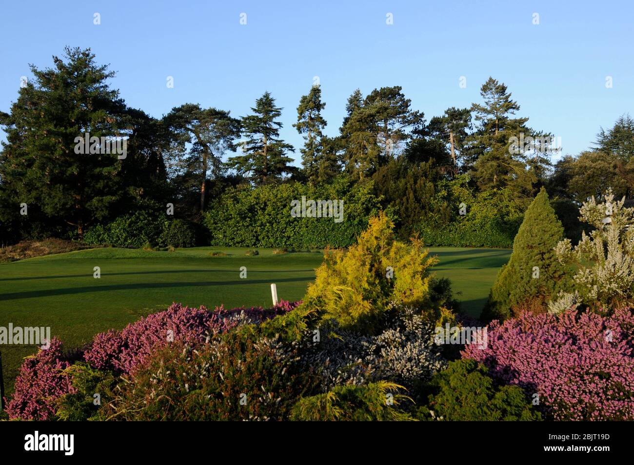 Over flower hires stock photography and images Alamy