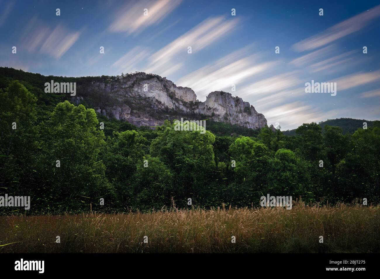 Fireflies fill the edges of the field and forest surrounding Seneca Rocks on an early summer evening in the West Virginia mountains. Stock Photo