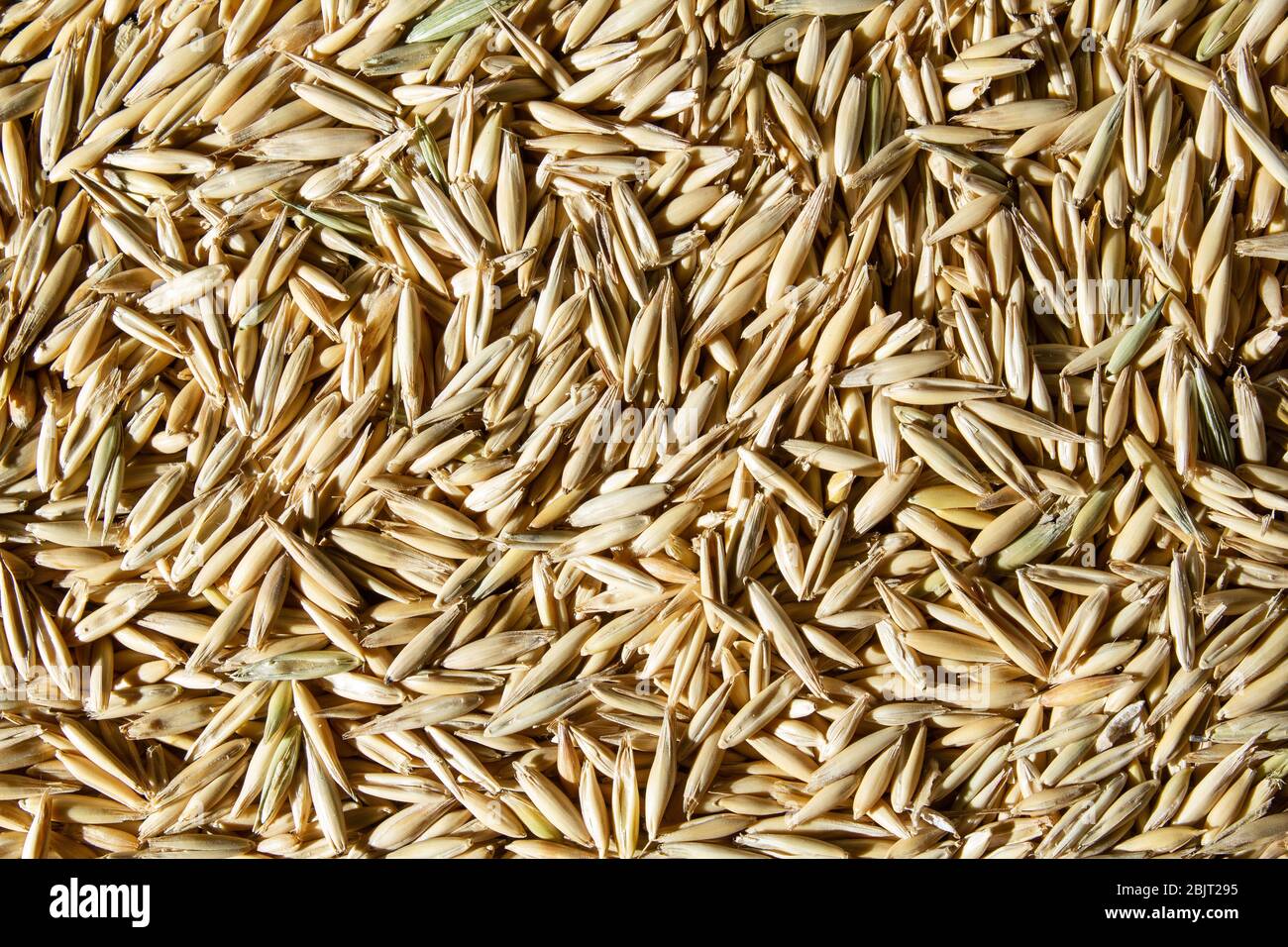 Wheat pattern hi-res stock photography and images - Alamy