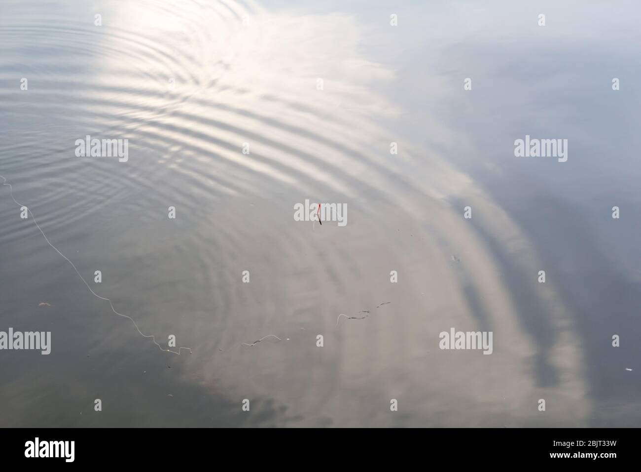 red fishing float in river fishing, copy space Stock Photo Alamy