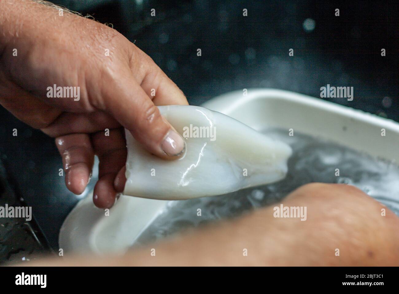 man washing cleaned squid with water Stock Photo