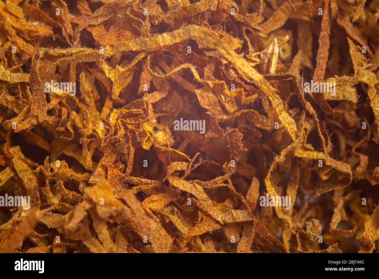 virgin tobacco medium brown tobacco virgin tobacco. close up Stock Photo