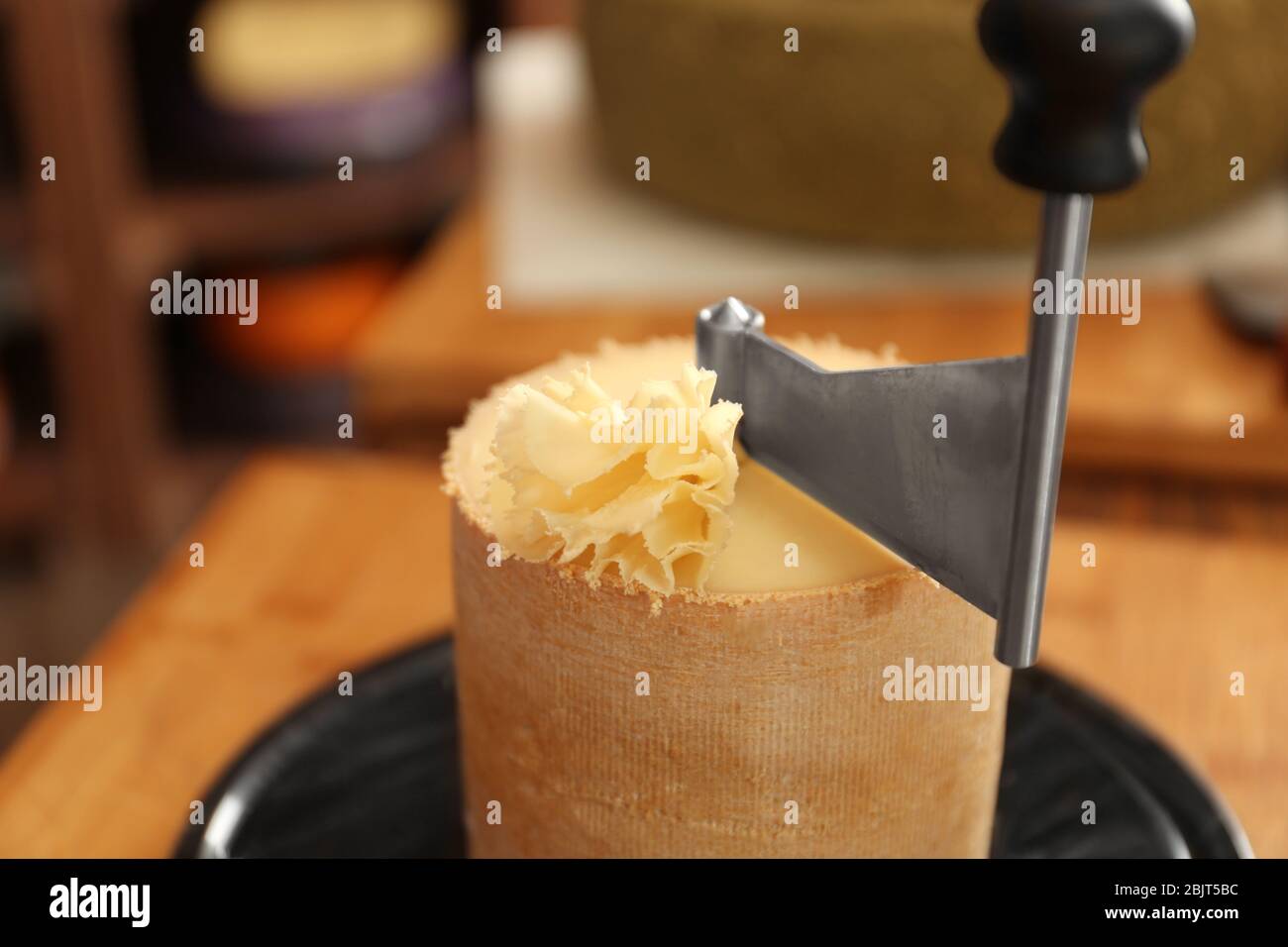 Shaving tete de moine cheese using girolle knife. Monks head. Variety of  Swiss semi-hard cheese made from cows milk Stock Photo - Alamy