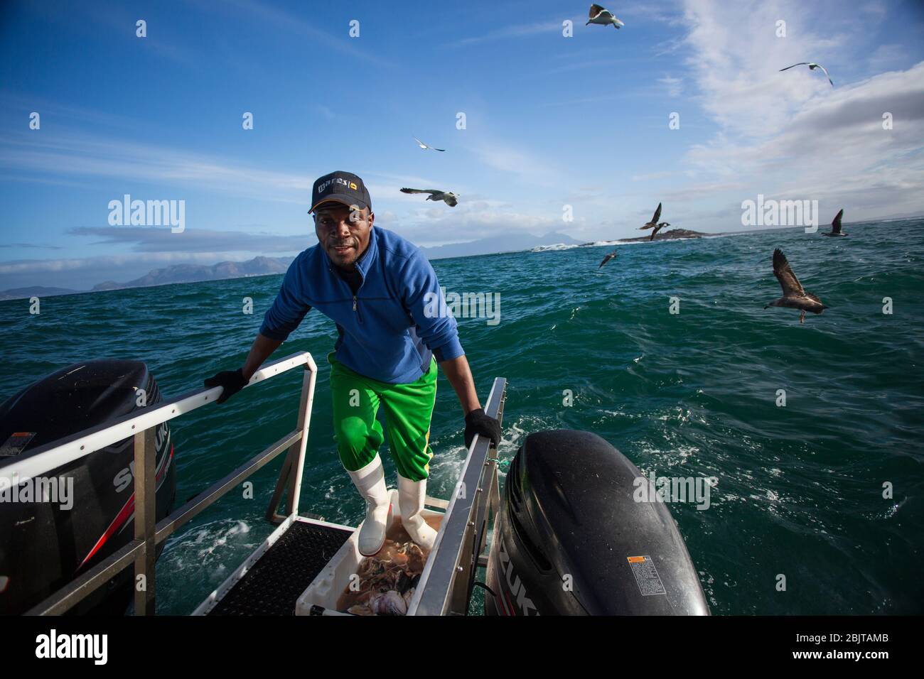 Fisherman preparing Chum for Cage Diving, with great white sharks, south Africa Stock Photo