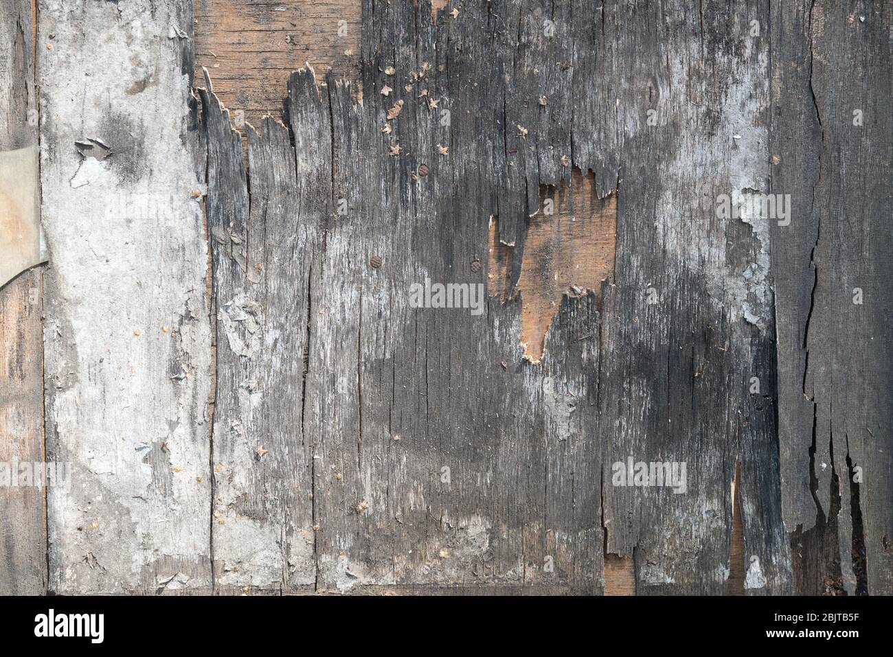 Old plywood texture Stock Photo Alamy